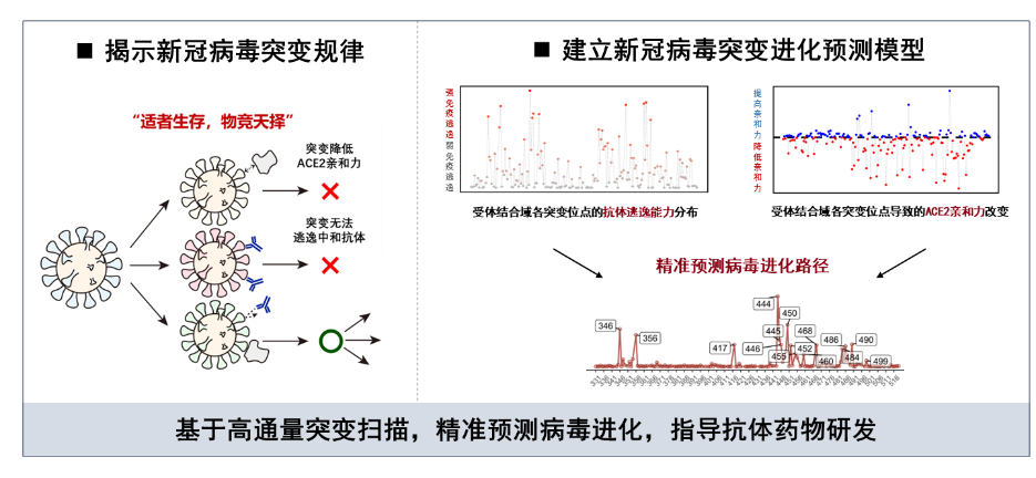 北京大学12项成果荣获2025年度国家科学技术奖6.png